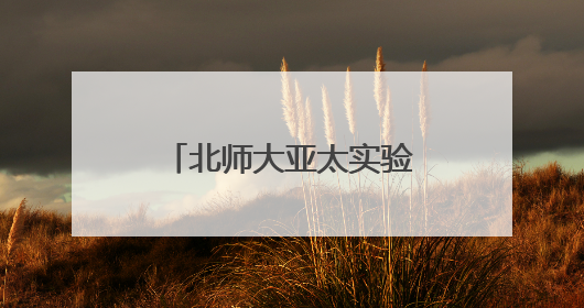 北师大亚太实验学校举办第五届 “科学探秘” 奥林匹克庆六一