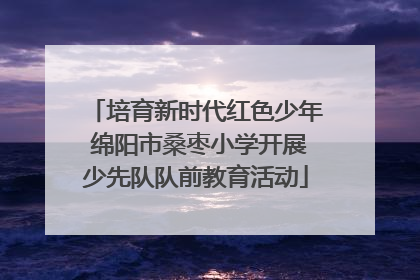 培育新时代红色少年 绵阳市桑枣小学开展少先队队前教育活动