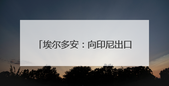 埃尔多安：向印尼出口48架“五代战机”