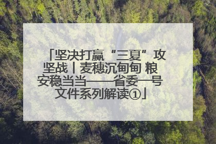 坚决打赢“三夏”攻坚战丨麦穗沉甸甸 粮安稳当当——省委一号文件系列解读①