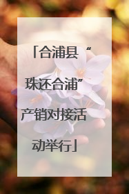合浦县“珠还合浦”产销对接活动举行