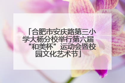 合肥市安庆路第三小学大杨分校举行第六届“和美杯”运动会暨校园文化艺术节