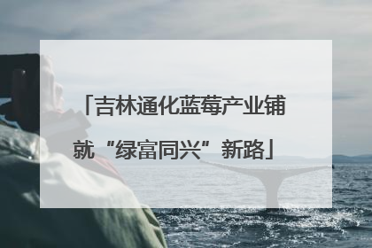吉林通化蓝莓产业铺就“绿富同兴”新路
