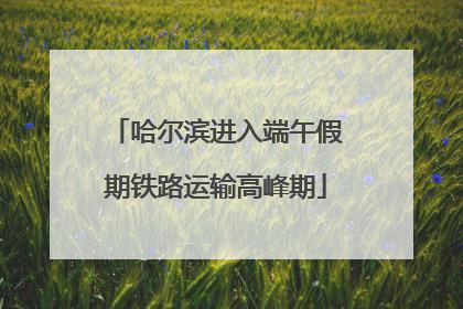 哈尔滨进入端午假期铁路运输高峰期