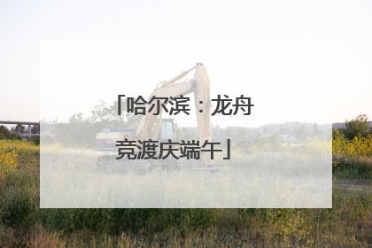 哈尔滨：龙舟竞渡庆端午