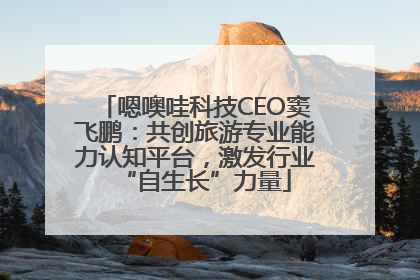 嗯噢哇科技CEO窦飞鹏：共创旅游专业能力认知平台，激发行业“自生长”力量