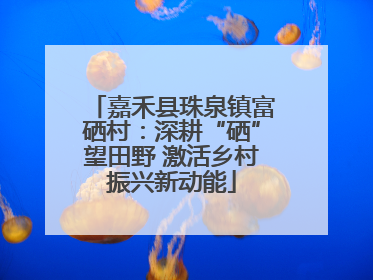嘉禾县珠泉镇富硒村：深耕“硒”望田野 激活乡村振兴新动能
