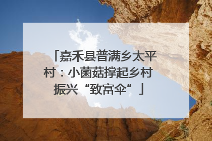 嘉禾县普满乡太平村：小菌菇撑起乡村振兴“致富伞”