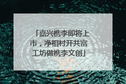 嘉兴槜李即将上市，净相村开共富工坊做槜李文创