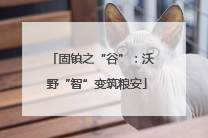 固镇之“谷”：沃野“智”变筑粮安
