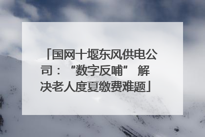 国网十堰东风供电公司：“数字反哺” 解决老人度夏缴费难题