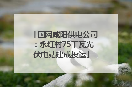 国网咸阳供电公司：永红村75千瓦光伏电站建成投运