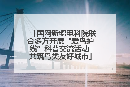 国网新疆电科院联合多方开展“爱鸟护线”科普交流活动 共筑鸟类友好城市
