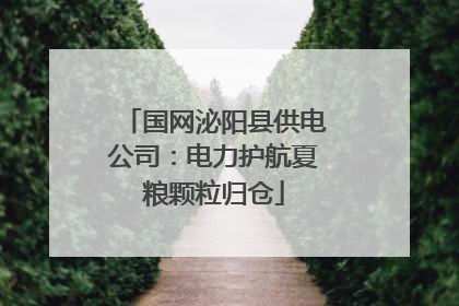 国网泌阳县供电公司：电力护航夏粮颗粒归仓