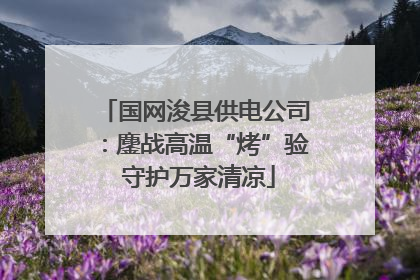 国网浚县供电公司：鏖战高温“烤”验 守护万家清凉