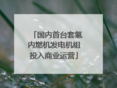 国内首台套氢内燃机发电机组投入商业运营