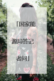 国家能源局答记者问