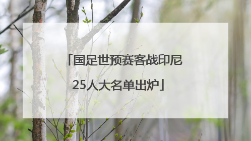 国足世预赛客战印尼25人大名单出炉