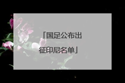 国足公布出征印尼名单