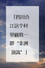 四川合江这个村里藏着一群“非洲顶流”