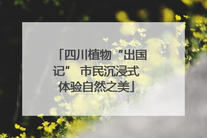 四川植物“出国记” 市民沉浸式体验自然之美