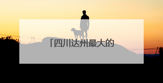 四川达州最大的蛋鸡养殖场在普光镇建成投产