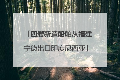 四艘新造船舶从福建宁德出口印度尼西亚