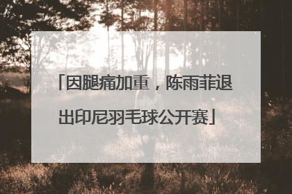 因腿痛加重，陈雨菲退出印尼羽毛球公开赛