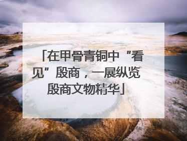 在甲骨青铜中“看见”殷商，一展纵览殷商文物精华