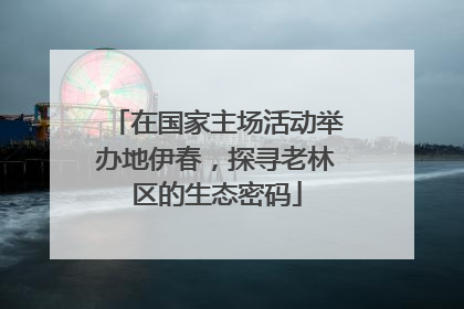 在国家主场活动举办地伊春，探寻老林区的生态密码