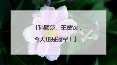 孙颖莎、王楚钦，今天也是冠军！
