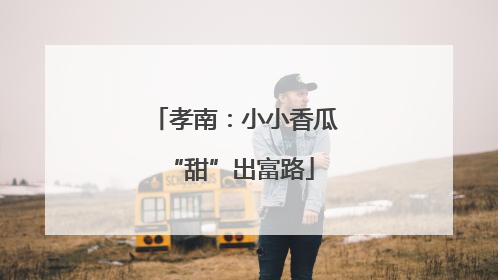 孝南：小小香瓜 “甜”出富路