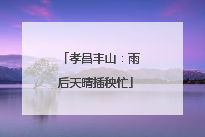 孝昌丰山：雨后天晴插秧忙
