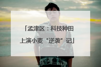 孟津区：科技种田 上演小麦“逆袭”记