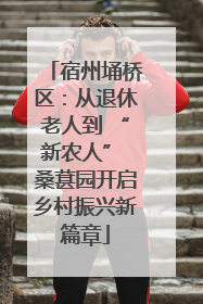 宿州埇桥区：从退休老人到 “新农人” 桑葚园开启乡村振兴新篇章