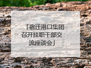 宿迁港口集团召开挂职干部交流座谈会