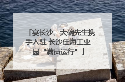 宴长沙、大碗先生携手入驻 长沙佳海工业园“满员运行”