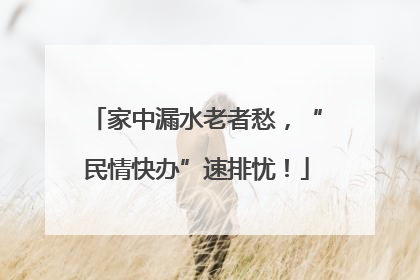 家中漏水老者愁，“民情快办”速排忧！
