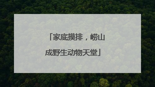 家底摸排，崂山成野生动物天堂