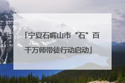 宁夏石嘴山市“石”百千万师带徒行动启动