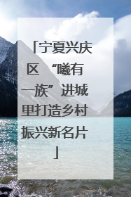 宁夏兴庆区 “曦有一族”进城里打造乡村振兴新名片