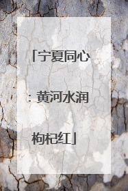 宁夏同心：黄河水润枸杞红