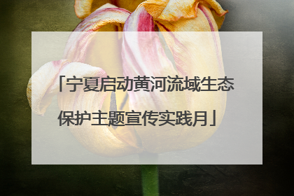 宁夏启动黄河流域生态保护主题宣传实践月
