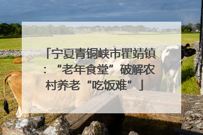 宁夏青铜峡市瞿靖镇：“老年食堂”破解农村养老“吃饭难”
