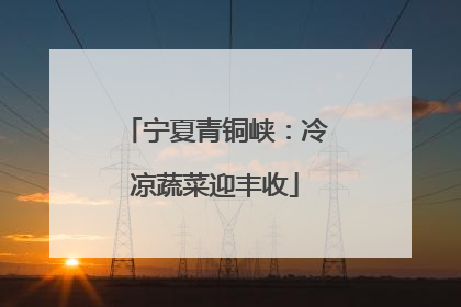 宁夏青铜峡：冷凉蔬菜迎丰收