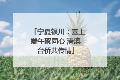 宁夏银川：塞上端午聚同心 港澳台侨共传情