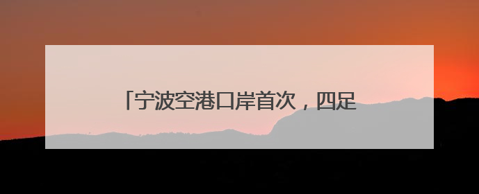 宁波空港口岸首次，四足机器人“打飞的”出海