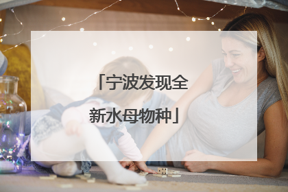 宁波发现全新水母物种