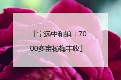 宁远中和镇：7000多亩杨梅丰收
