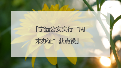 宁远公安实行“周末办证”获点赞